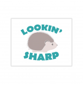 Lookin' Sharp Greeting Card