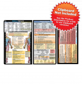 Physical Therapy Adhesive Reference Label