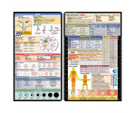 EMT Adhesive Reference Label