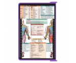 WhiteCoat Clipboard® - Lilac Physical Therapy Edition
