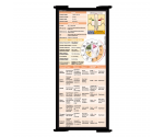 WhiteCoat Clipboard® Trifold - Black Cardiology Edition