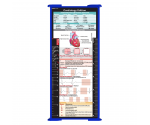 WhiteCoat Clipboard® Trifold - Blue Cardiology Edition
