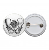 Vintage Pelvis Diagram Pinback Button