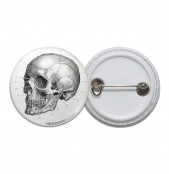 Vintage Skull Diagram Pinback Button